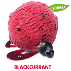 Mövenpick Blackcurrant 2,4L