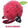 Mövenpick Blackcurrant 2,4L