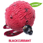 Mövenpick Blackcurrant 2,4L